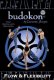 Budokon by Cameron Shayne - Flow & Flexibility Yoga DVD
