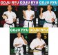 Goju Ryu Karate - Traditional Training with Teruo Chinen 5-DVD