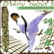 Osamu Inoe's Taekwondo - Intermediate Training DVD